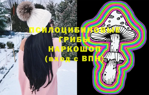 винт Верея